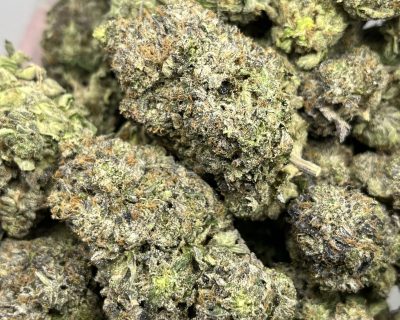 11 WEEK PINK (MEGA GAS DEAL) - Image 1